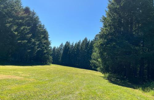 Lyons Other | Elkhorn Camp