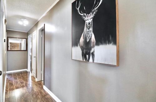 Bono House | Ellie's place