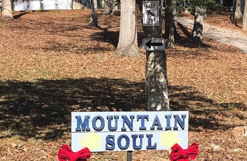 Ellijay Cabin | ELLIJAY GA. COZY, 5⭐️. PUP FRIENDLY, MT. VIEWS, PRIVATE LAKE “Mountain Soul”