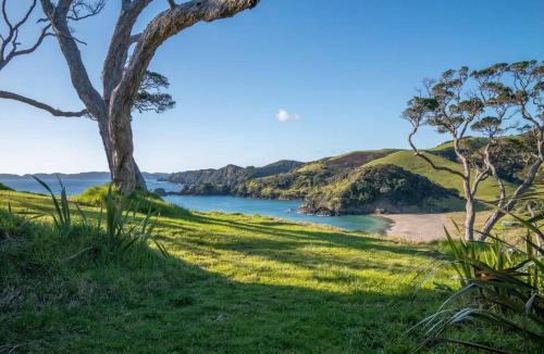 Rawhiti House | Elliot Bay - Hilltop Flat