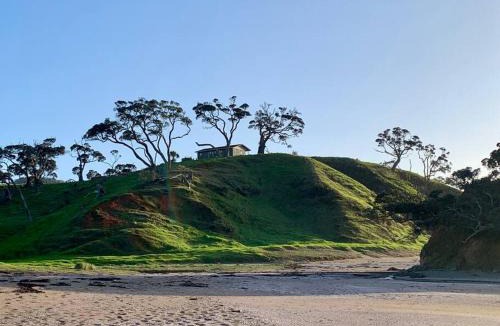 Rawhiti House | Elliot Bay - Hilltop Flat