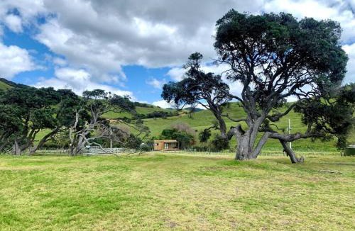 Rawhiti House | Elliot Bay - Shearer's Cabin
