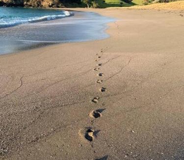 Rawhiti House | Elliot Bay - Shearer's Cabin