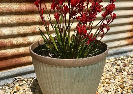 Sale House | Elm Tree Cottage