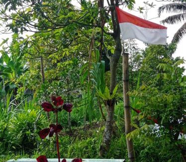 Kecamatan Montong Gading House | Eltari Homestay