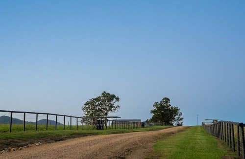 Kunghur Cabin | Elysium Farm Stay- Paperbark Bungalow