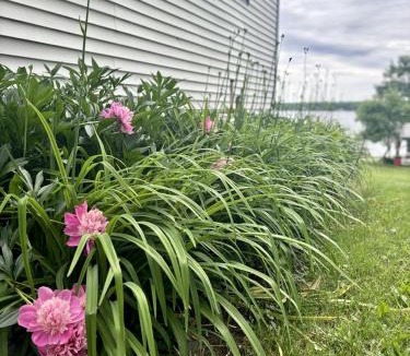 Portage Lake House | Embrace Nature in this Breathtaking Cottage in Portage Lake, Maine