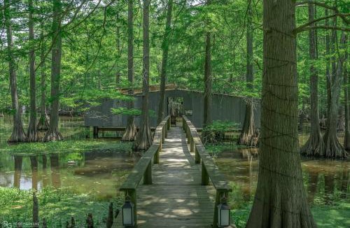 Shreveport House | Emerald Cove Lakeside Cabin Paddle, Relax,Unwind