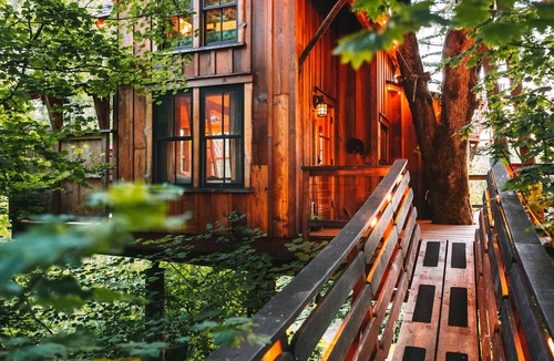 Union Hill-Novelty Hill Apartment | Emerald Forest Treehouse - From Treehouse Masters