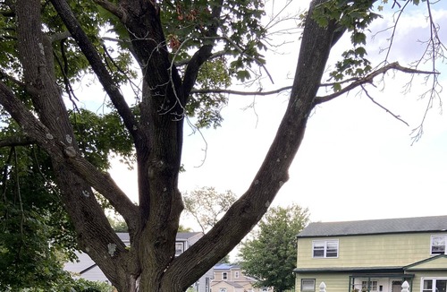 Amityville House | Emerald glam room