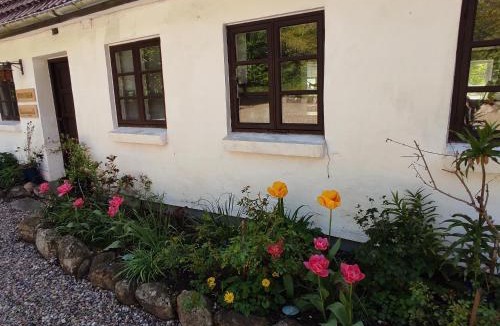 Lintrup Bed & Breakfast | Emily's Garden
