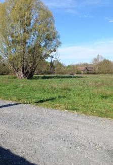 Beaufay Other | Emplacement tente proche d'une mare .