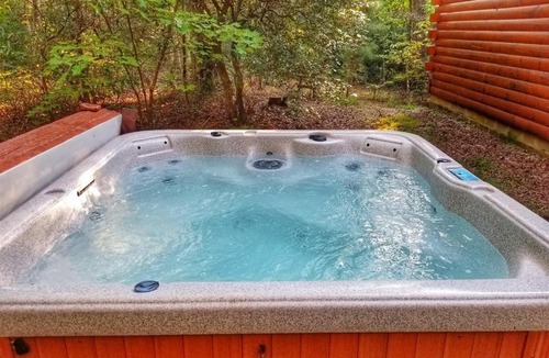 Morganton House | Empty Nest-Blue Ridge Ga