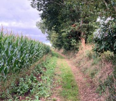 Bazouges-la-Perouse House | En Altitude
