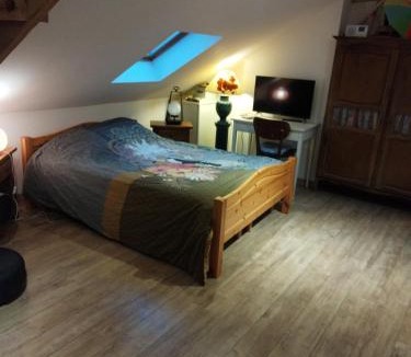 Rosendael House | En coloc' chez Charlotte