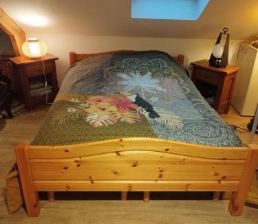 Rosendael House | En coloc' chez Charlotte