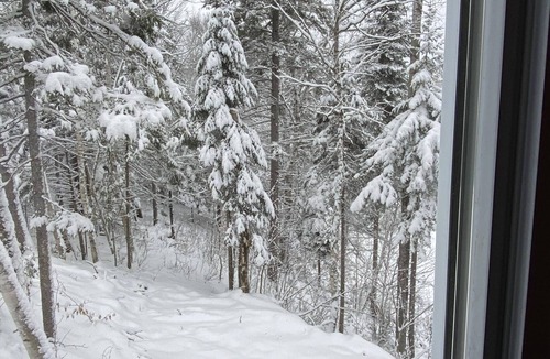 Piopolis Ski Chalet | En Forêt, Tranquille, Sans Voisin Proche Mais Proche de Tout