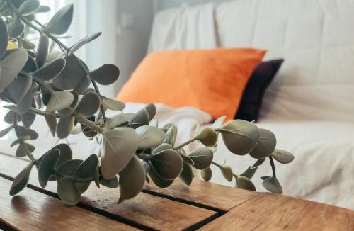 La Puebla de Castro Apartment | Encanto rural con gran terraza