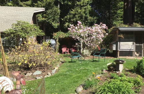 Mendocino Cottage | Enchanted Cottage in the Redwoods
