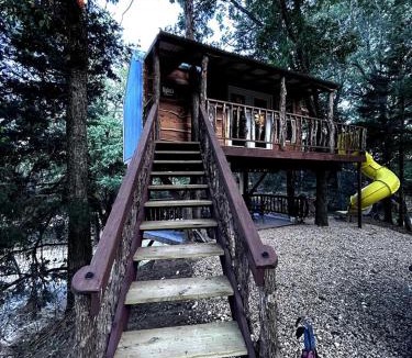 Rosston House | Enchanting Forest Treehouse Hideaway with Farm Activities near Bingham Creek in Forestburg, Texas