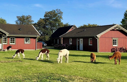 Hesselager House | Enchanting holiday home with alpacas in Lundeborg
