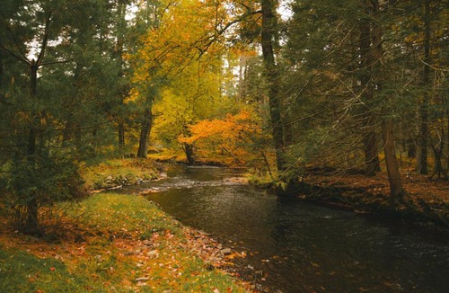 Yulan Ski Chalet | Enchanting River- Water Front A-Frame Cabin