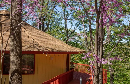Eureka Springs House | Enchanting treehouse-themed round house near Tablerock Lake and Eureka Springs