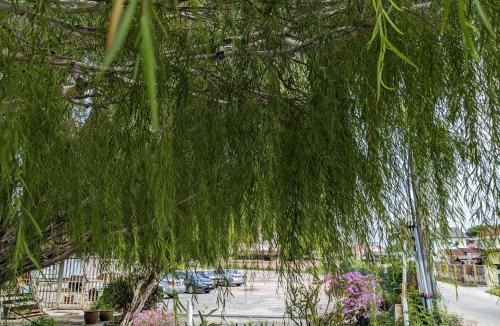 Kampung Telaga Nibong Hotel | EnE Sri Cemerlang