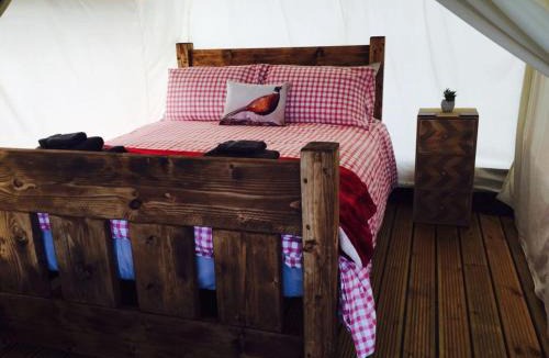 Ripley Other | Enigma Lodge