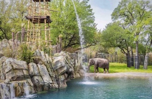 Fort Worth House | Enjoy a Hassle-Free and Suiting Stay! Comfortable Unit! Indoor Swimming Pool