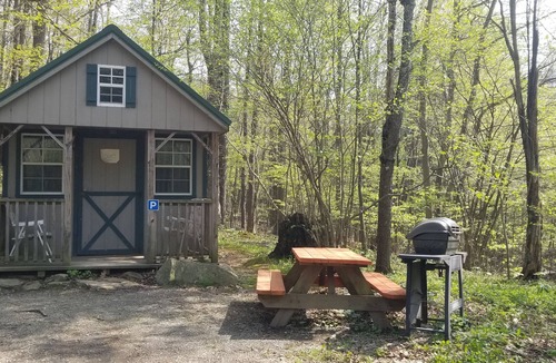 Elk Garden Cabin | Enjoy Nature At Its Finest-Rustic Furnished Cabin W/Electricity at Abrams Creek