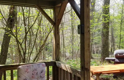 Elk Garden Cabin | Enjoy Nature At Its Finest-Rustic Furnished Cabin W/Electricity at Abrams Creek