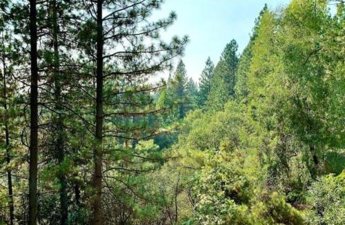 Apple Hill House | Enjoy the outdoors 1st Apple hill exit Tahoe