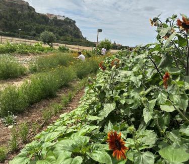 Lerin Hostel | Entheos