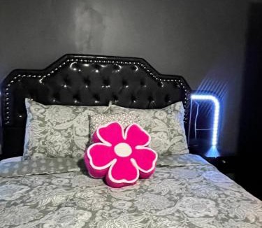 Des Plaines Apartment | Entire 5 bedroom spacious mansion