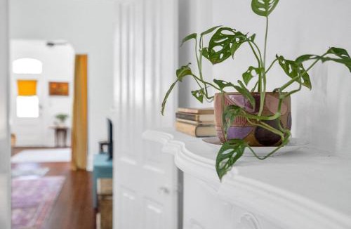 Bywater Apartment | Entire Apartment Bywater New Orleans Great Location