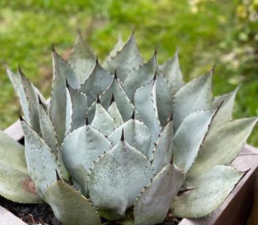 Deer Island House | Entire Cabin Deerisland getaway