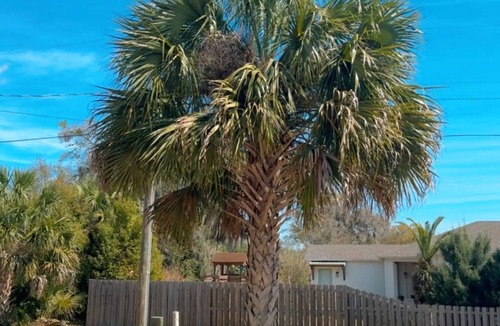 Lake Helen House | Entire home in Lake Helen, Florida