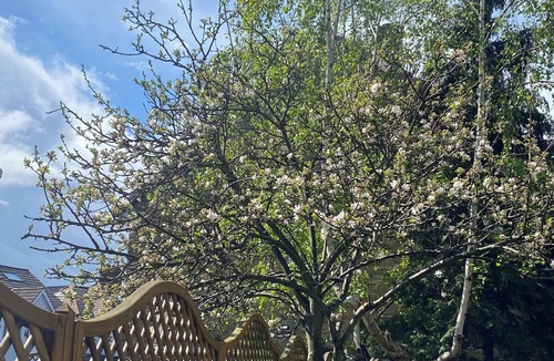 Lee House | Entire Home in London