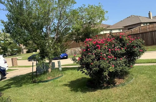 McKinney House | Entire home in McKinney, Texas, United States