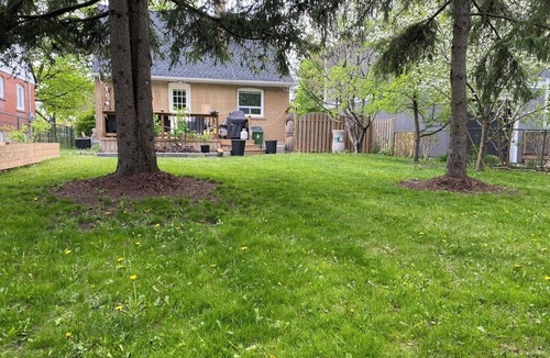 Rexdale House | Entire Home in Toronto - 10 mins YYZ
