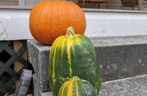 Rumney Apartment | Entire house: 5 bedrooms, 5.5 bathroms