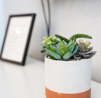 Renton House | Entire house Pet Friendly w gated backyard Boeing