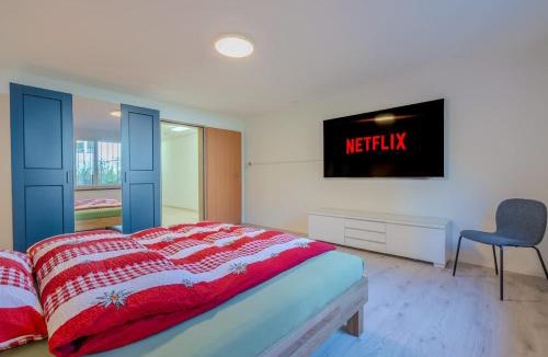 Neerach Apartment | Entire House, Terrace, Garden, BBQ, 3 TVs - Zurich Villa