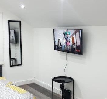 Bensham Manor Apartment | Entire large 4 bedroom flat