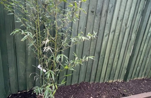 Pembroke Dock House | Entire townhouse hosted by Beni