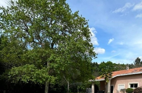 Cestas House | Entre Bordeaux et Arcachon