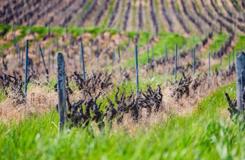 Rivolet Ski Chalet | Entre Couette & Bulles