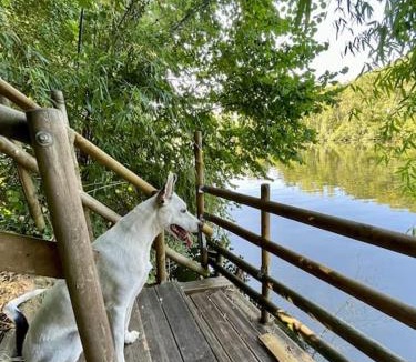 Aiguelèze House | Entre rivière & bambous - Vue rivière - Parc arboré - Petfriendly