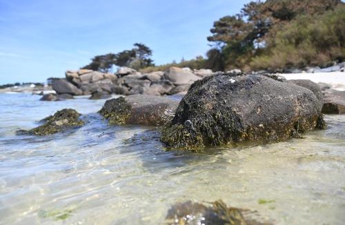 Plougoulm Bed & Breakfast | Entre Terre et Mer